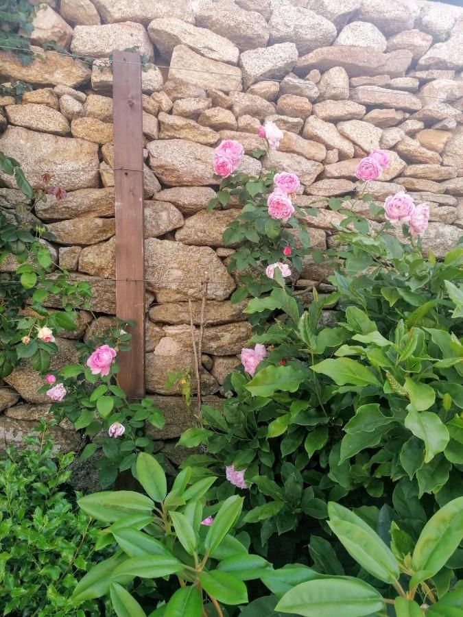 Rosas Da Granja - Casa De Campo Ngoại thất bức ảnh