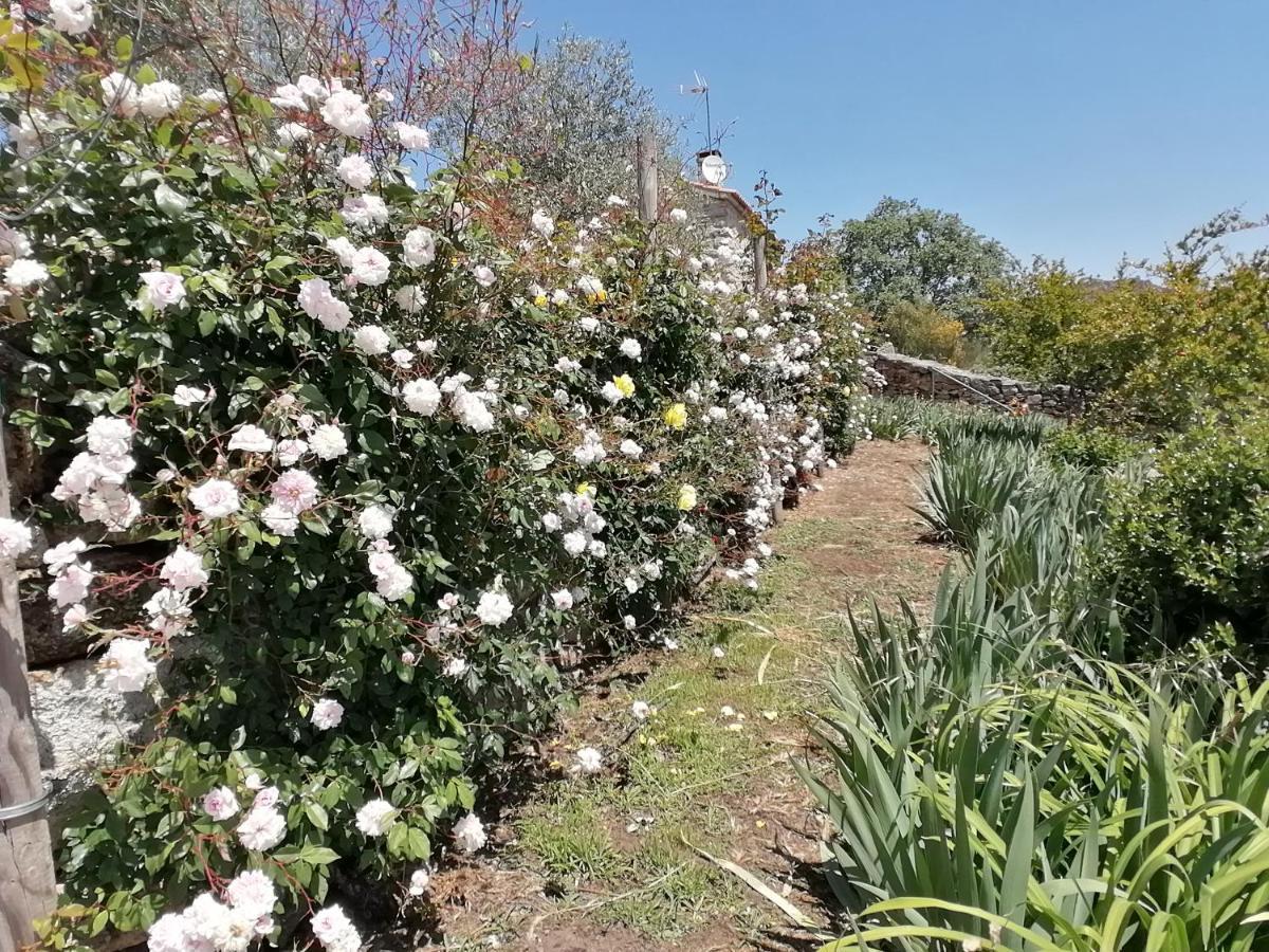 Rosas Da Granja - Casa De Campo Ngoại thất bức ảnh